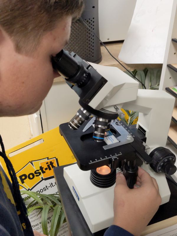 microscope